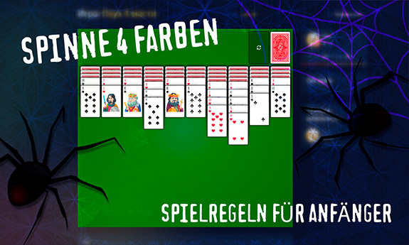 Spinne 4 Farben