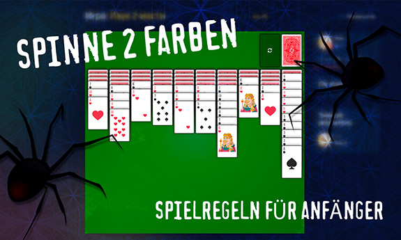 Spinne 2 Farben