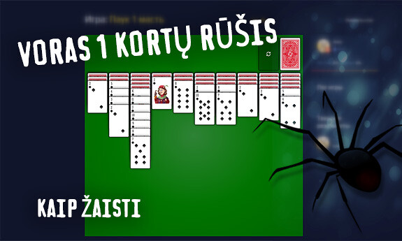 Voras 1 kortų rūšis