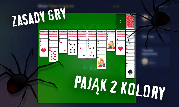 Pająk 2 kolory